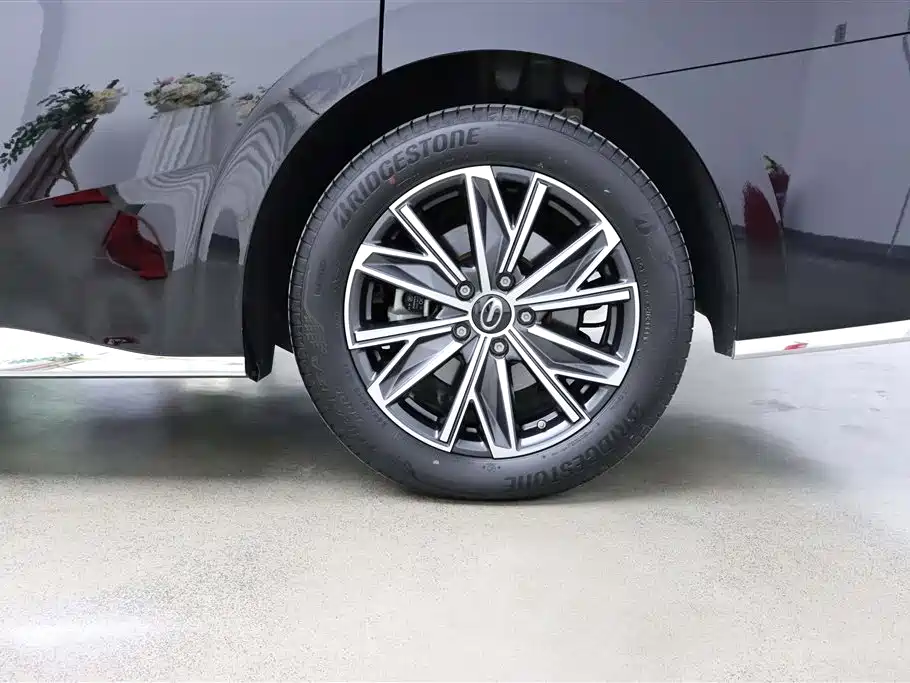 GAC Trumpchi Trumpchi M8 2024 Master Series 400T Premium Edition фото 34