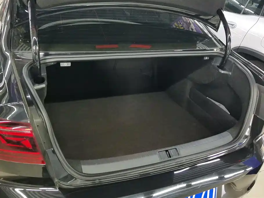 Volkswagen Magotan 2025 Popular Edition 330TSI DSG Luxury фото 4