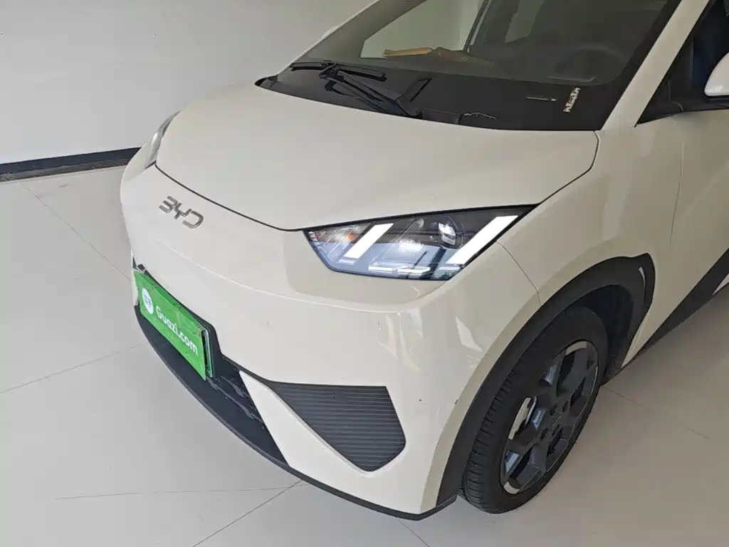 BYD Seagull 2026 2025 Smart Drive Edition 405km Free Edition