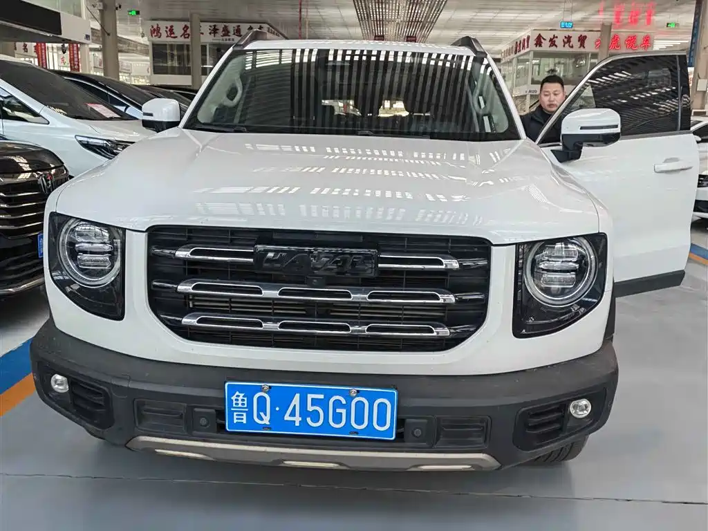HAVAL BIG DOG