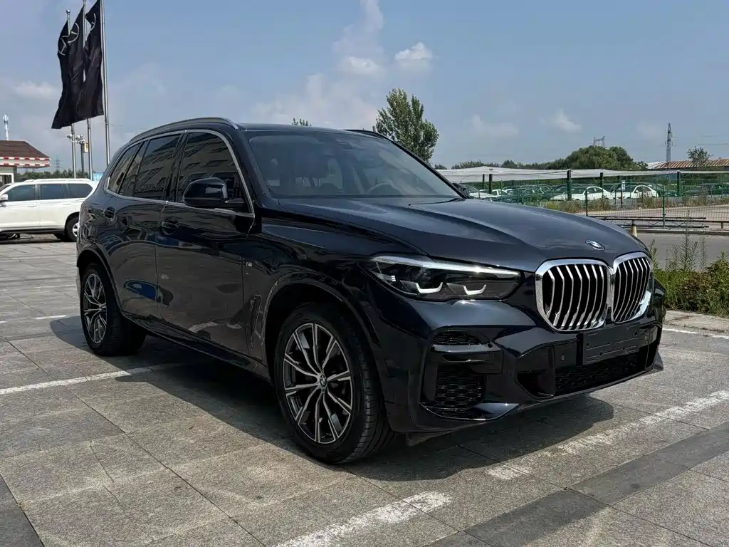 BMW X5 (Import) 2022 2021 xDrive30i M Sport Package