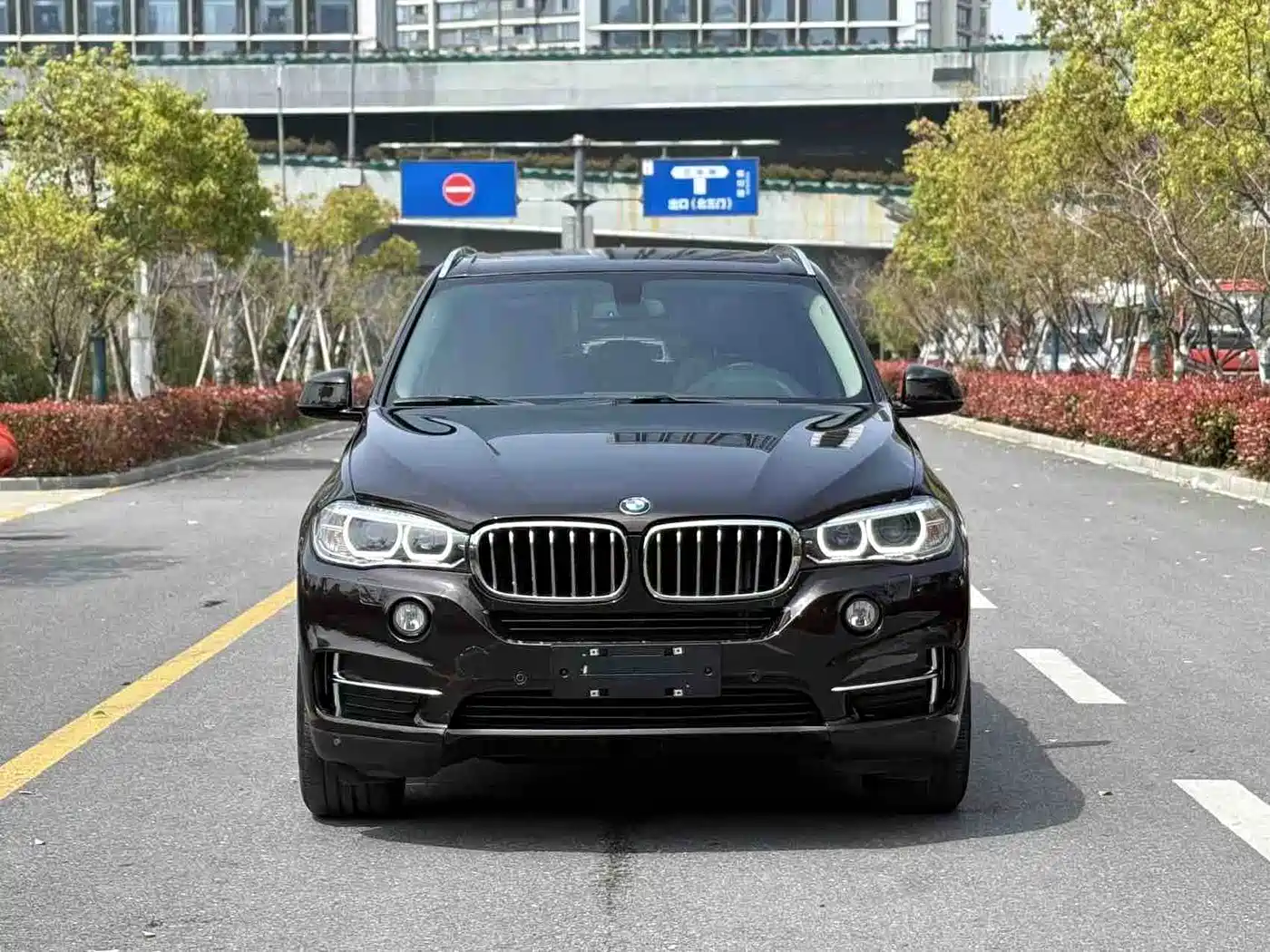 BMW X5 (Import) 2017 xDrive28i фото 3