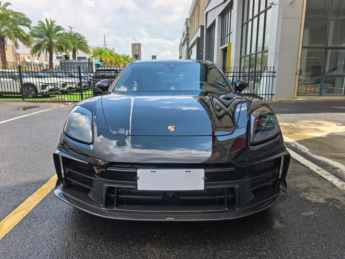 Porsche Panamera 2025 2026 Panamera 2.9T