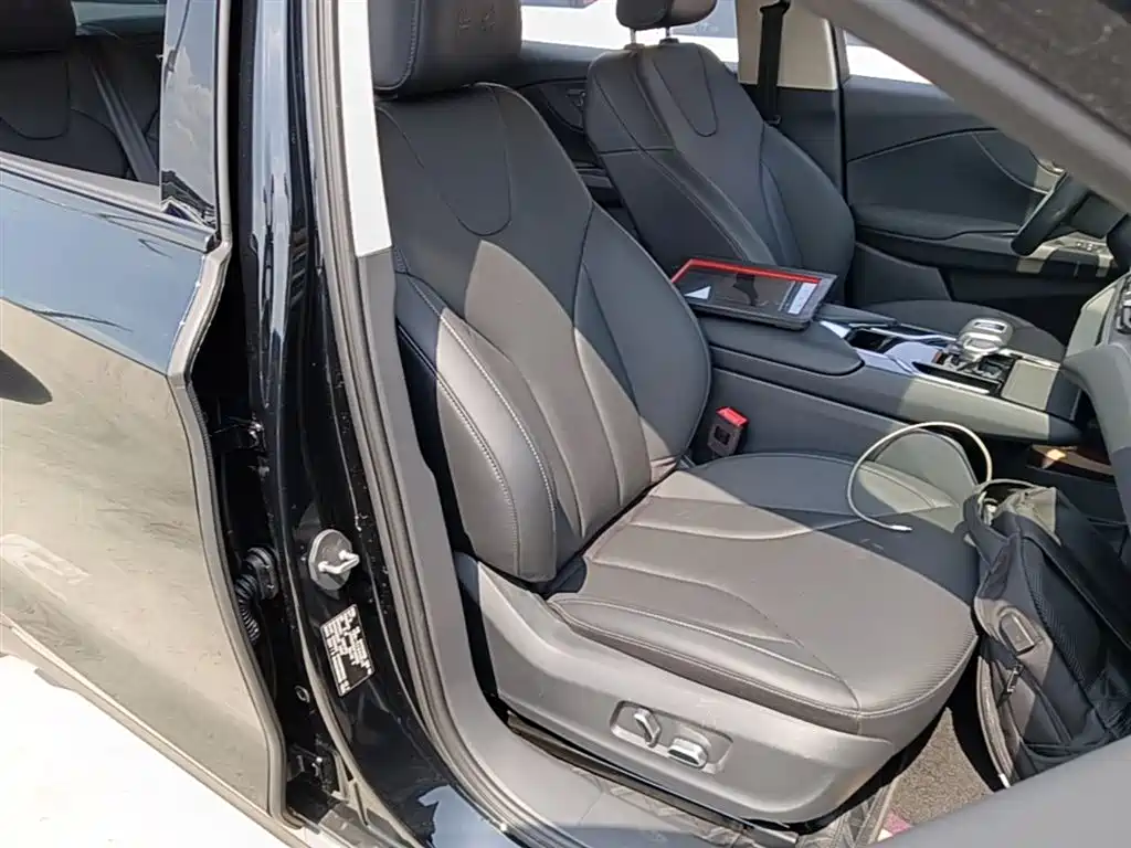 Hongqi E-QM5 2022 431km Charging Enjoyment Edition фото 25