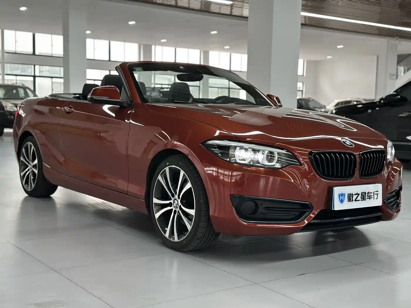 BMW 2 Series (Import) 2019 225i Convertible Coupe Sport Design Package фото 3