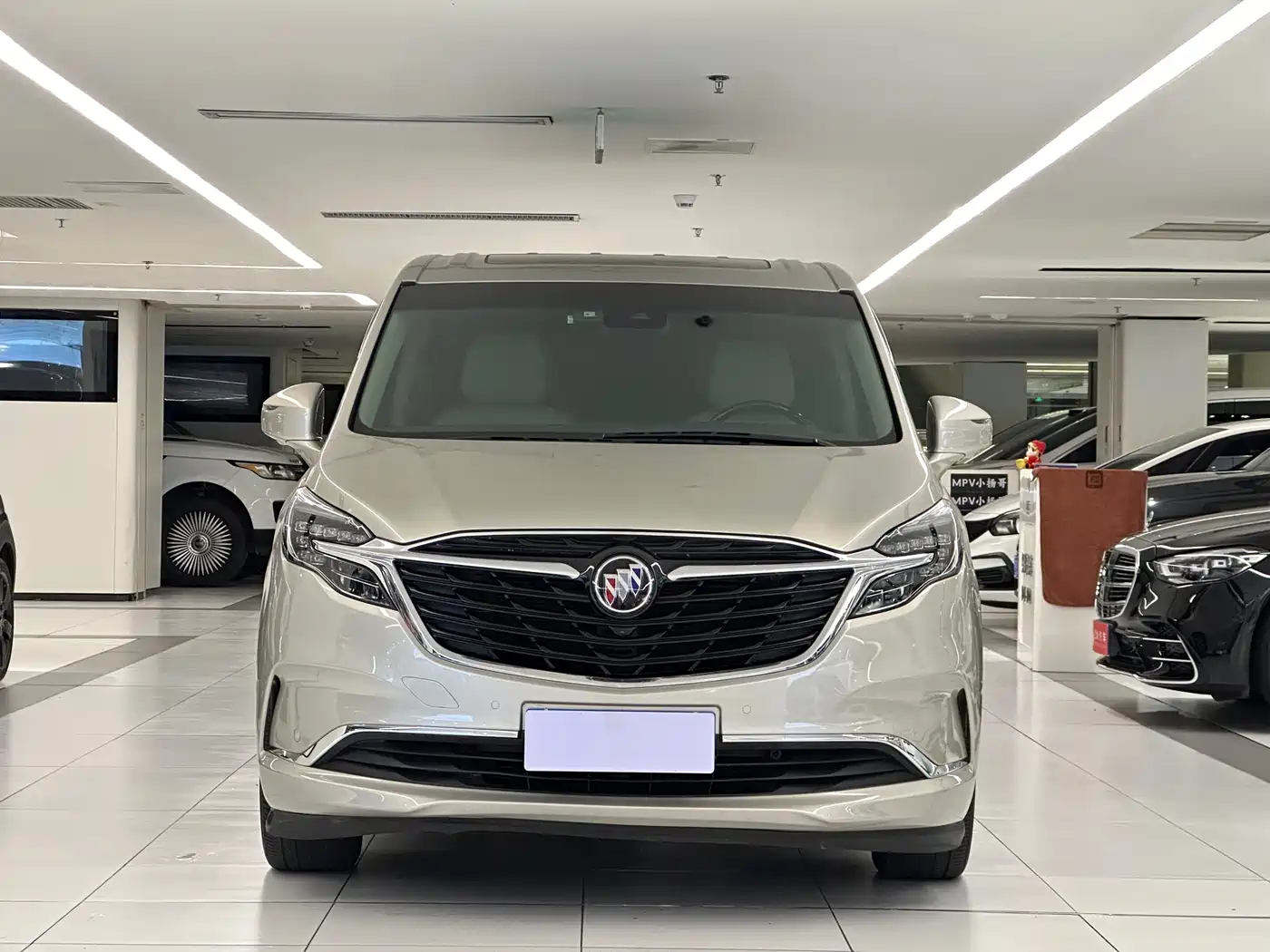 Buick GL8 2022 ES Landmark 653T Luxury фото 2