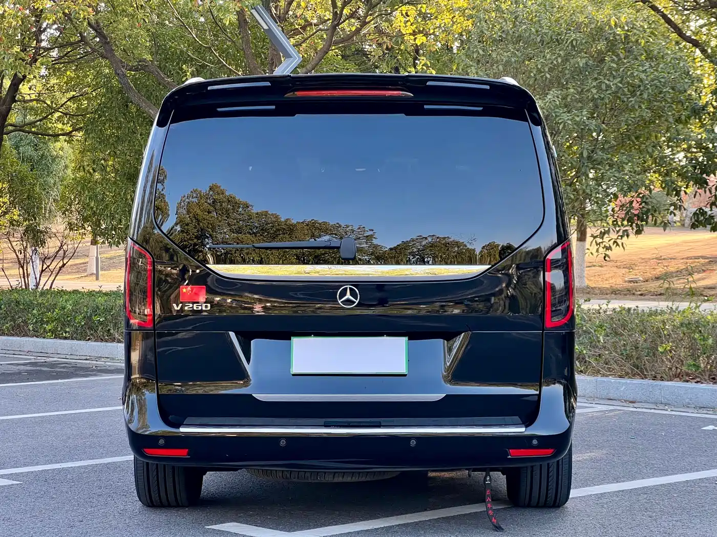 Mercedes-Benz V-Class 2018 V 260 Navigator Edition China VI фото 5