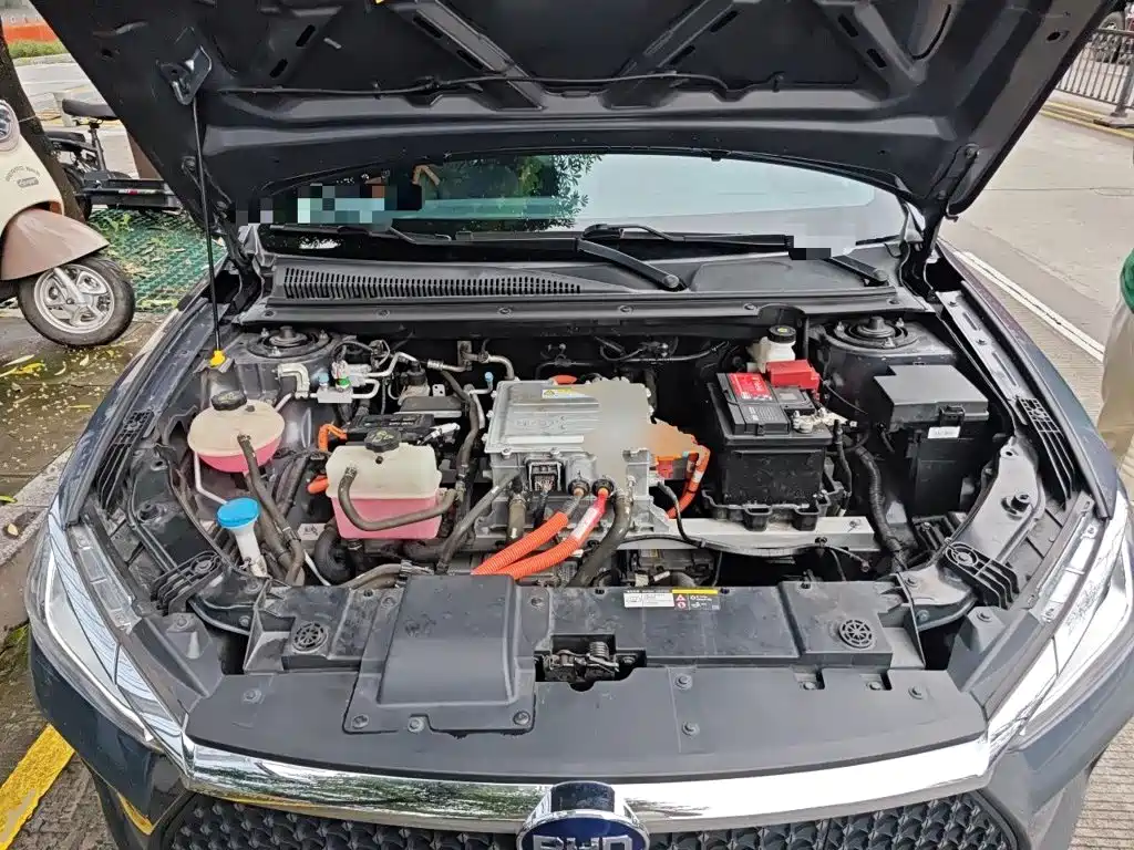 BYD e2 2020 2020 Upgraded Long Range Luxury