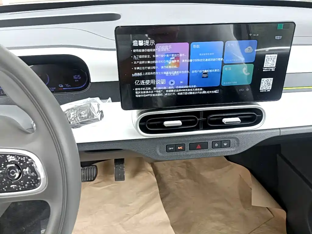 Geely Galaxy Panda 2026 2025 Panda mini 210km Vitality Bear