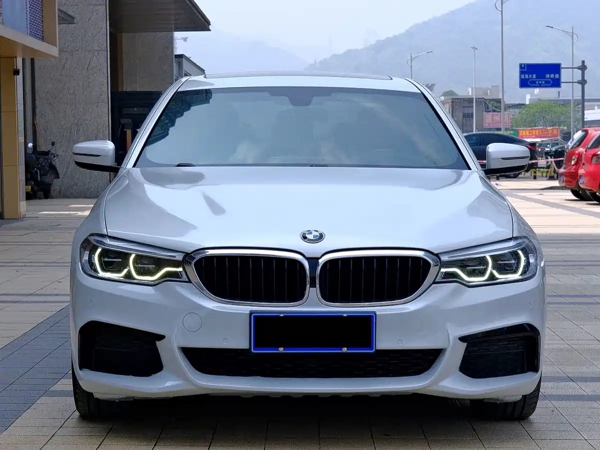 BMW 5 Series 2020 530Li Leading M Sport Package фото 2