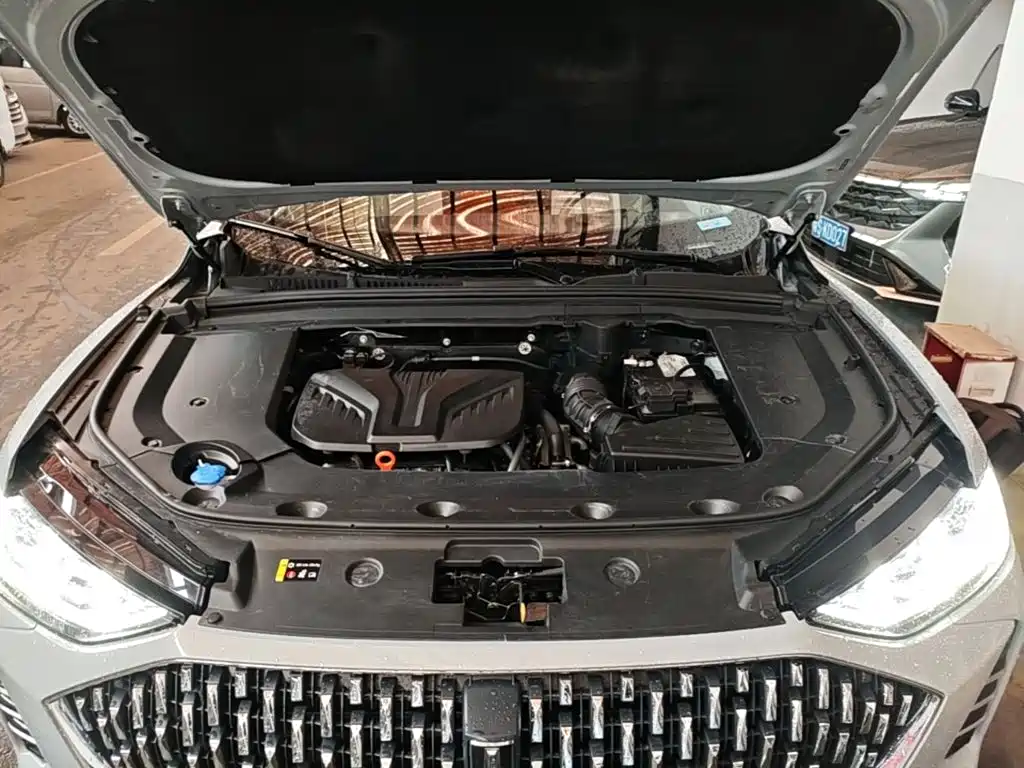 WEY Mocha 2023 2021 2.0T 4WD Premium Edition