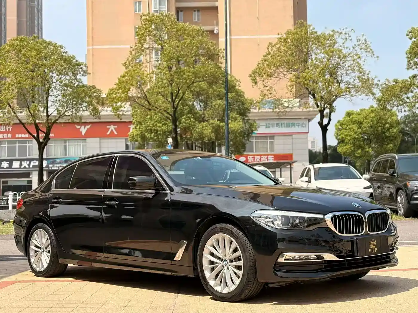 BMW 5 Series 2018 530Li Leading Luxury Package фото 2