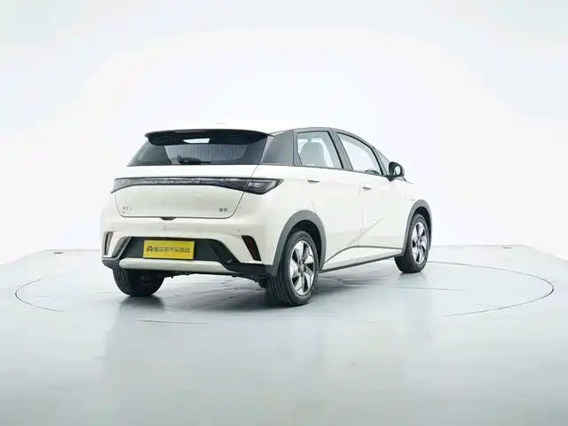BYD Dolphin 2026 2025 420km Freedom Edition