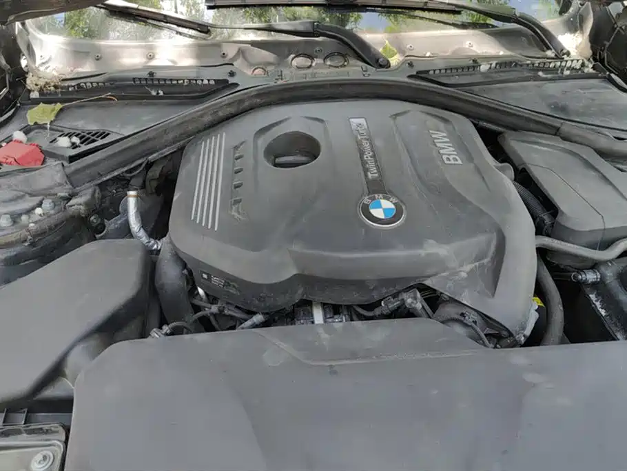 BMW 3 Series GT 2019 320i M Sport Black Night Edition фото 9