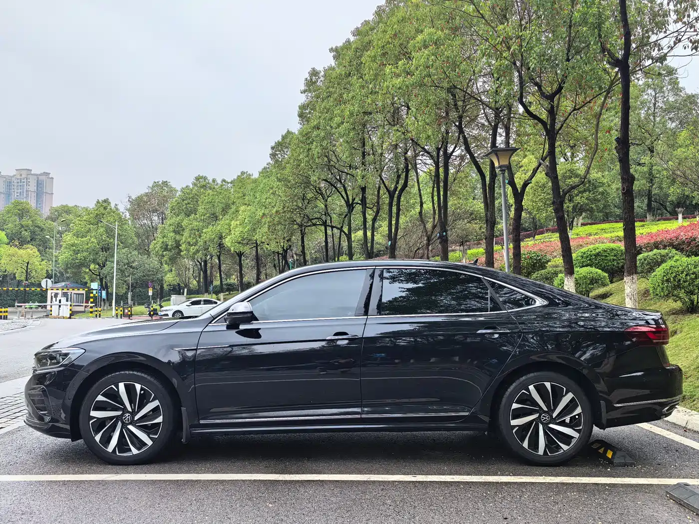 Volkswagen Passat 2023 330TSI Luxury Edition фото 7