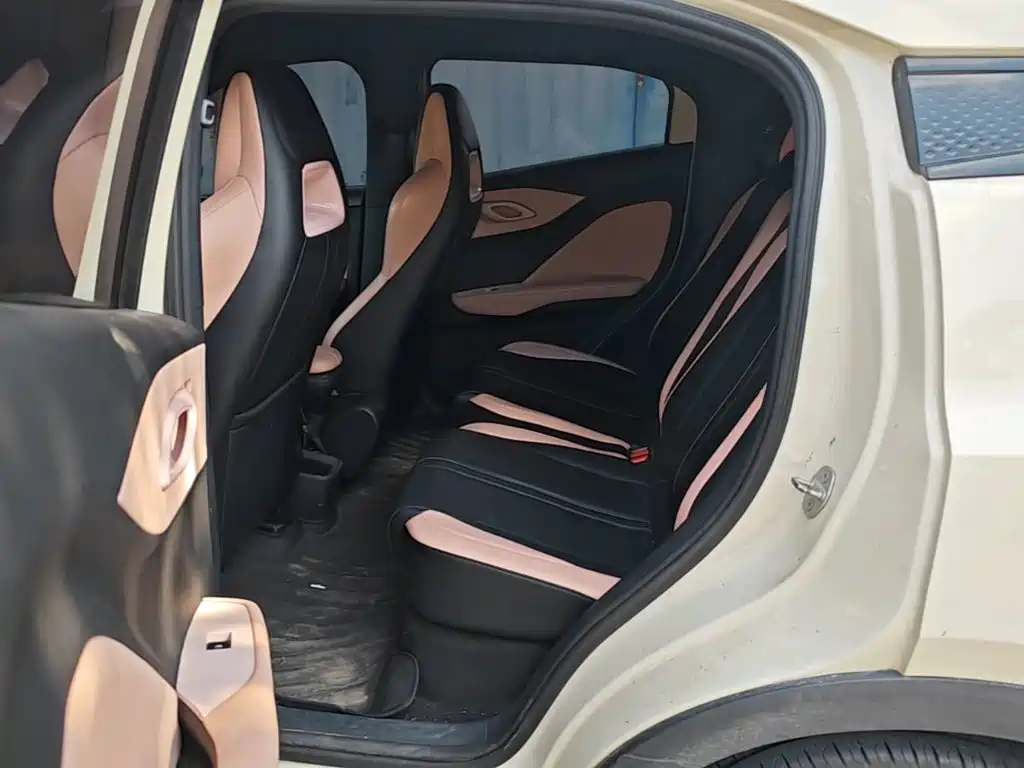 BYD Seagull 2023 2023 Vitality Edition