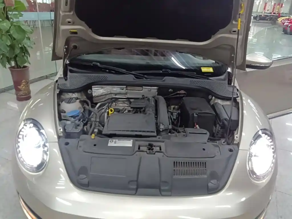 Photo 20 - Volkswagen Beetle