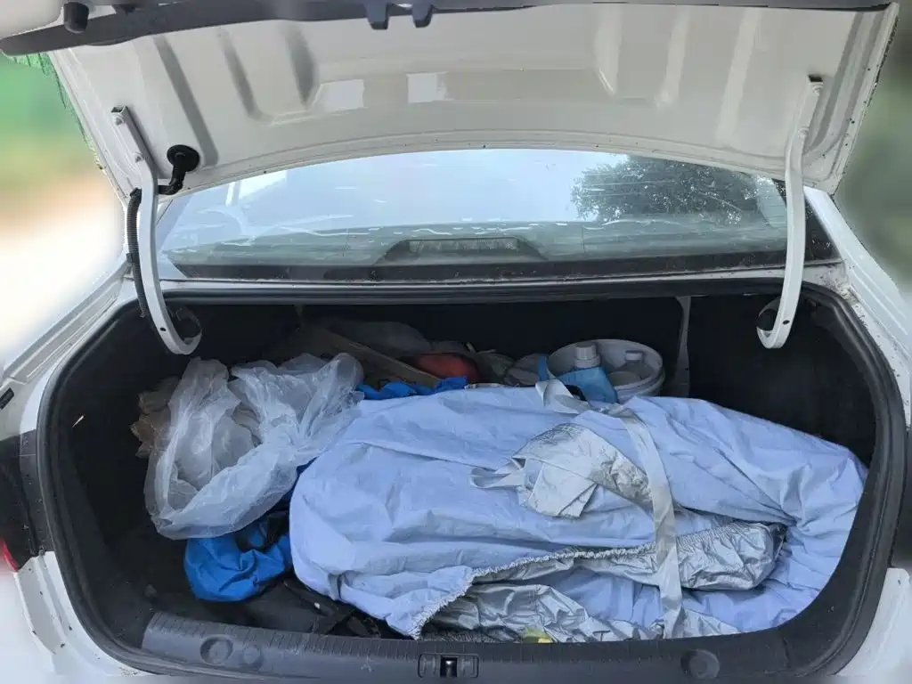 Фото 20 - Volkswagen Lavida