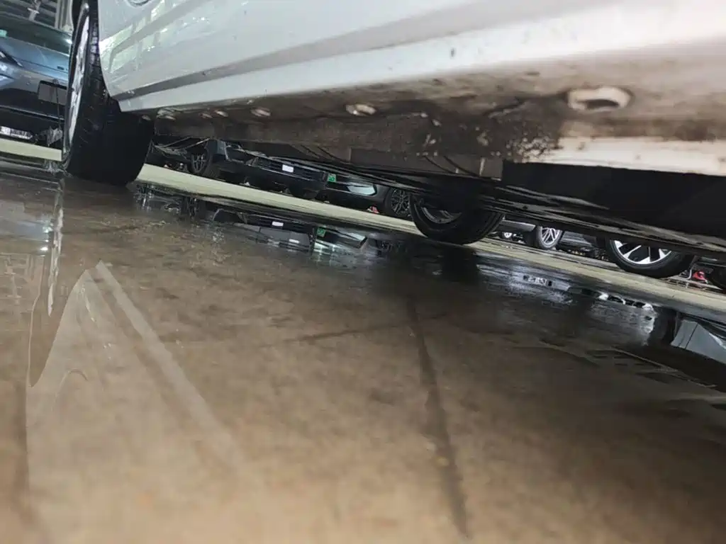 Roewe Clever 2023 2022 311km Vitality Bobo Edition