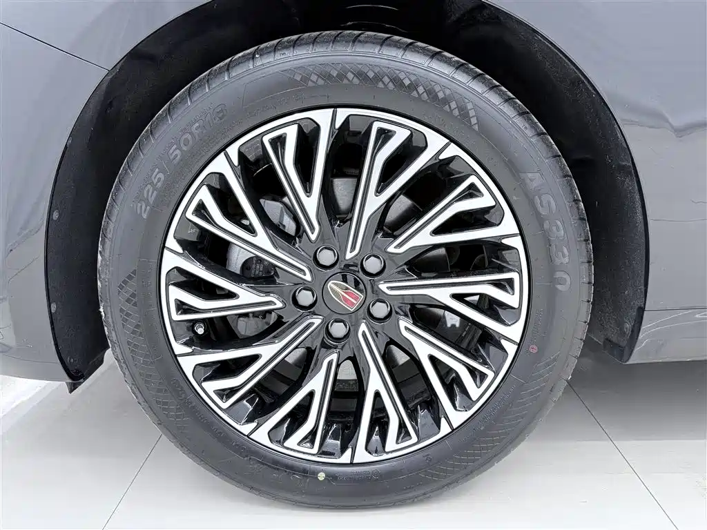 Hongqi H5 2024 2.0T Automatic Smart Connect Flag Smooth Edition фото 13