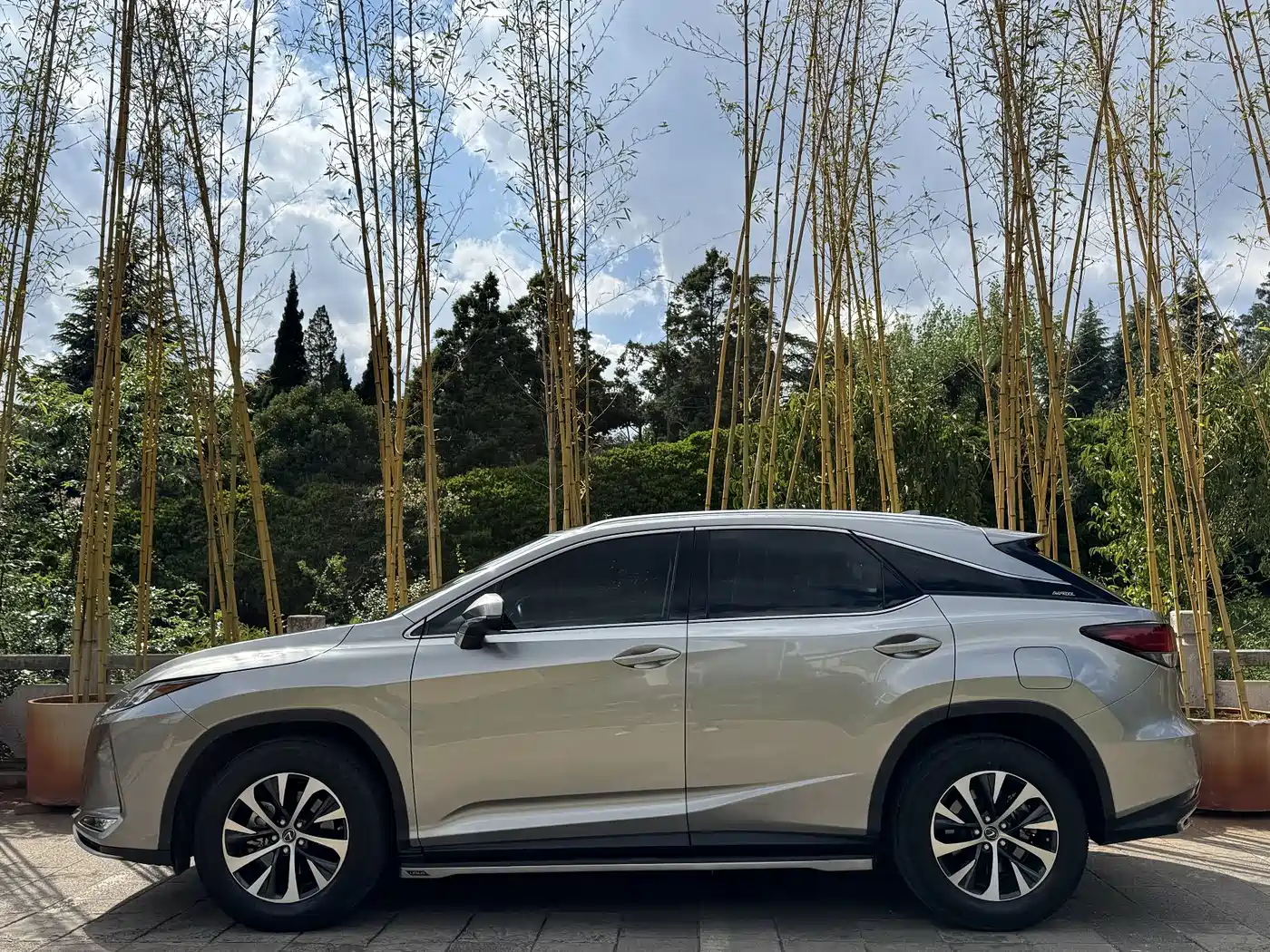 LEXUS RX