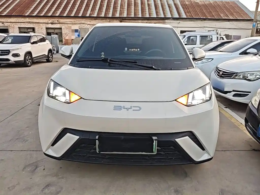BYD Seagull 2026 2025 305km Freedom