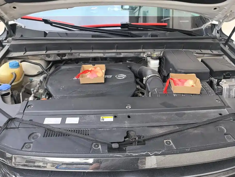 GAC Trumpchi Trumpchi GS8 2020 Model 390T FWD Luxury Smart Connect (7-seater) фото 10