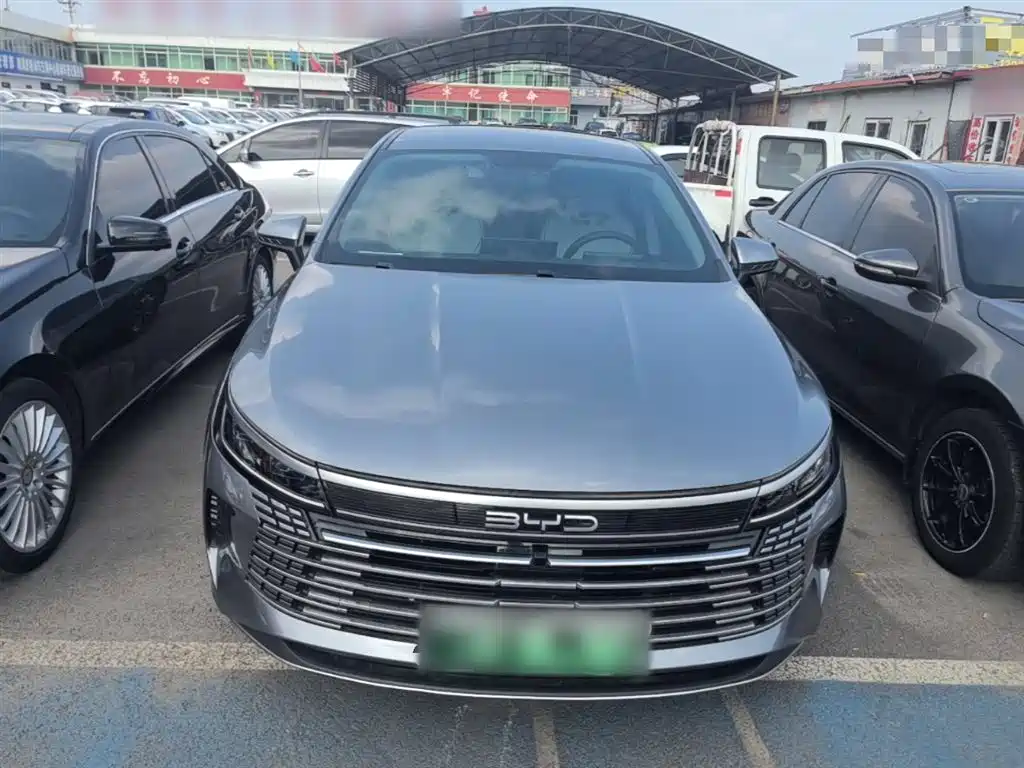 BYD Destroyer 05 2023 Champion Edition DM-i 55KM Luxury фото 3