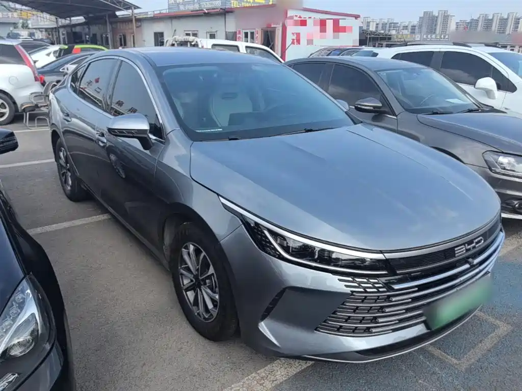 BYD Destroyer 05 2023 Champion Edition DM-i 55KM Luxury фото 4