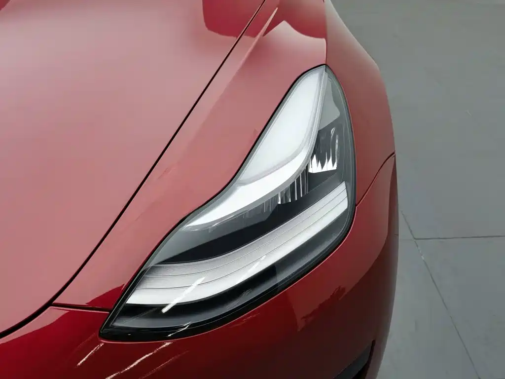 Tesla Model 3 2020 2020 Standard Range Rear-Wheel Drive Upgrade