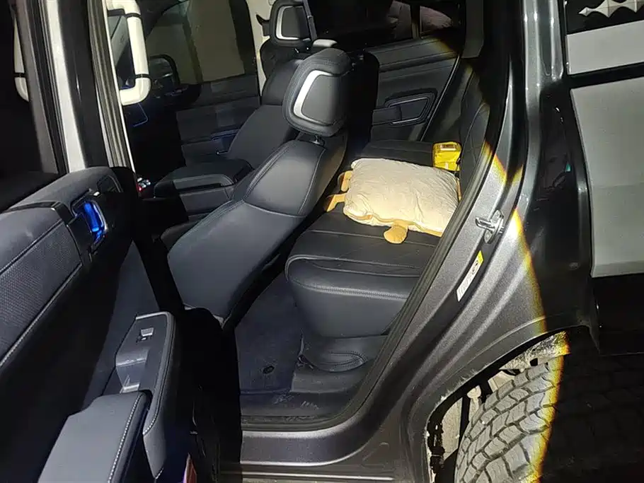 FANG CHENG BAO LEOPARD 5