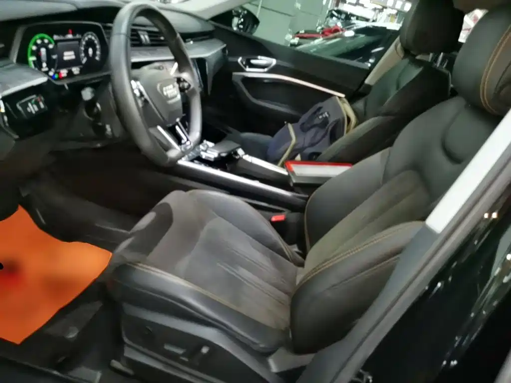 Audi e-tron 2022 2021 50 quattro Exclusive Selection