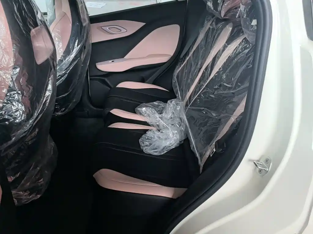BYD Seagull 2026 2025 Smart Drive Edition 305km Vitality Version