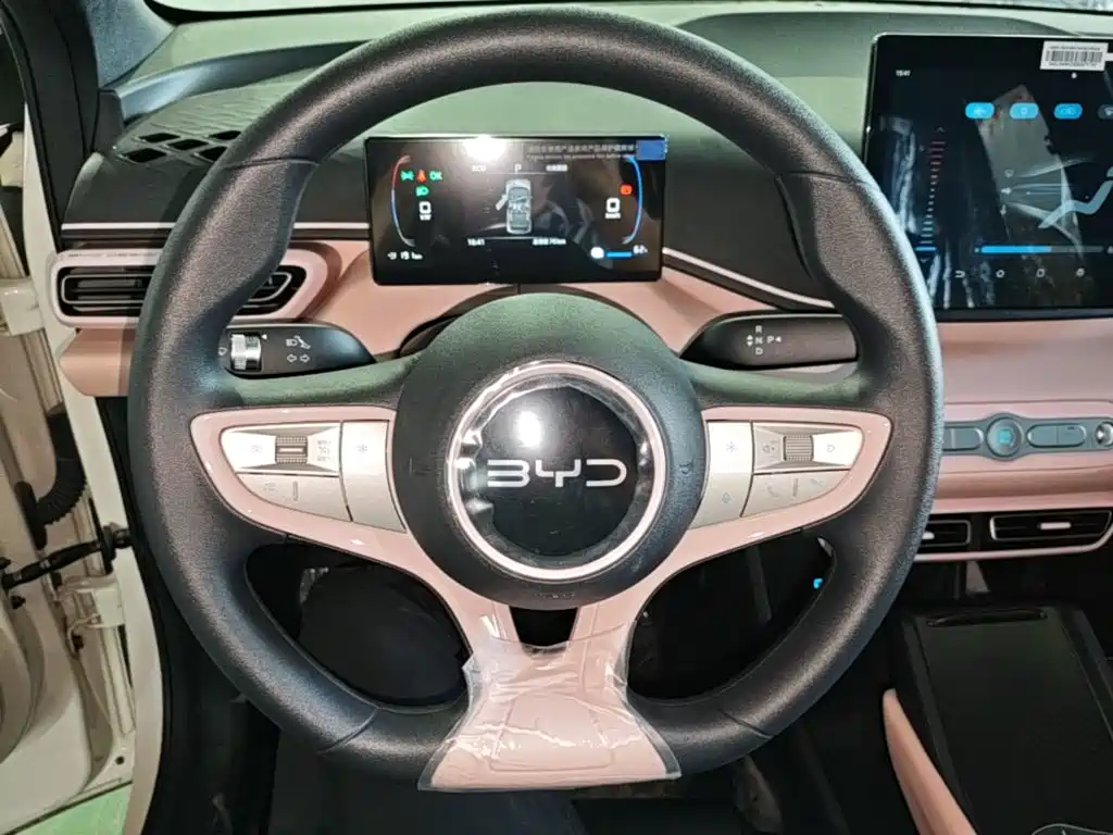 BYD Seagull 2026 2025 Smart Drive Edition 305km Vitality Version
