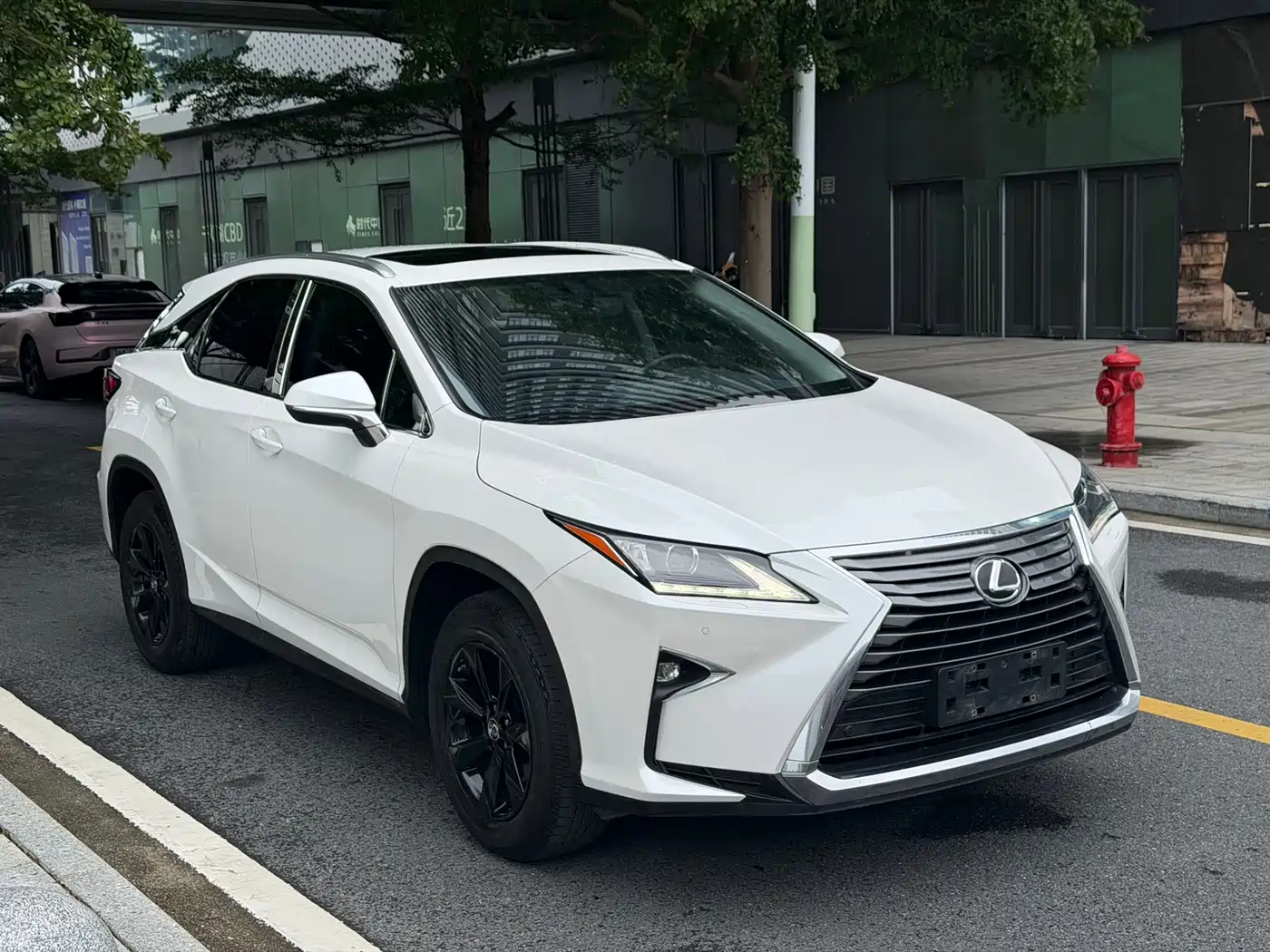 Lexus RX 2016 300 2WD Elite Edition (China V) фото 3