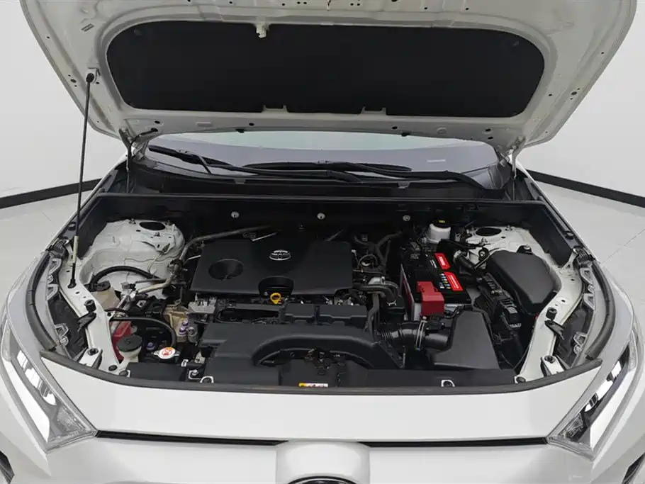 Toyota RAV4 Rongfang 2020 2.0L CVT 2WD Trend Edition фото 10