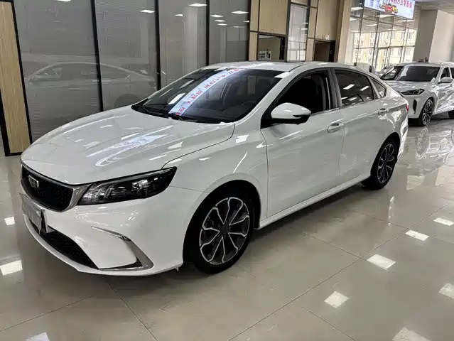 GEELY AUTOMOBILE BINRUI