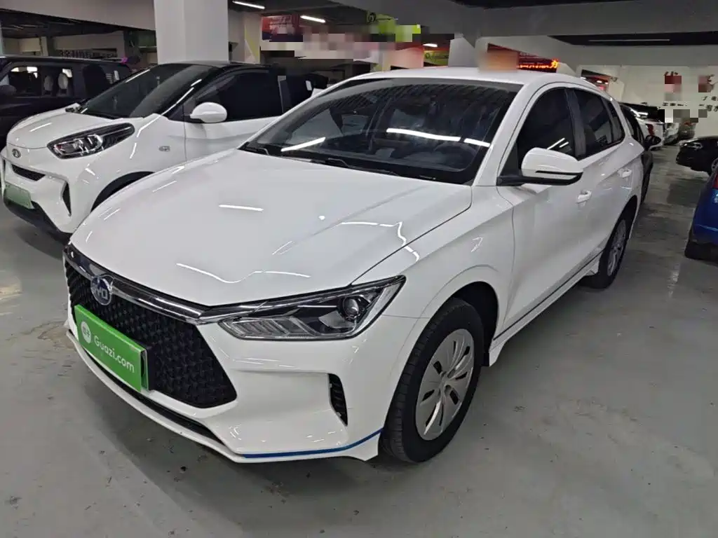 BYD e2 2021