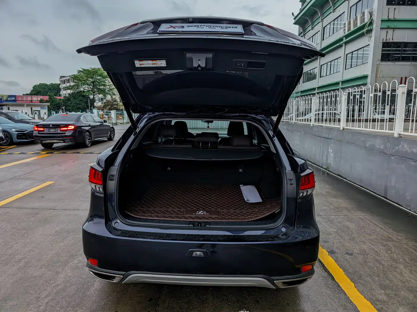 LEXUS RX