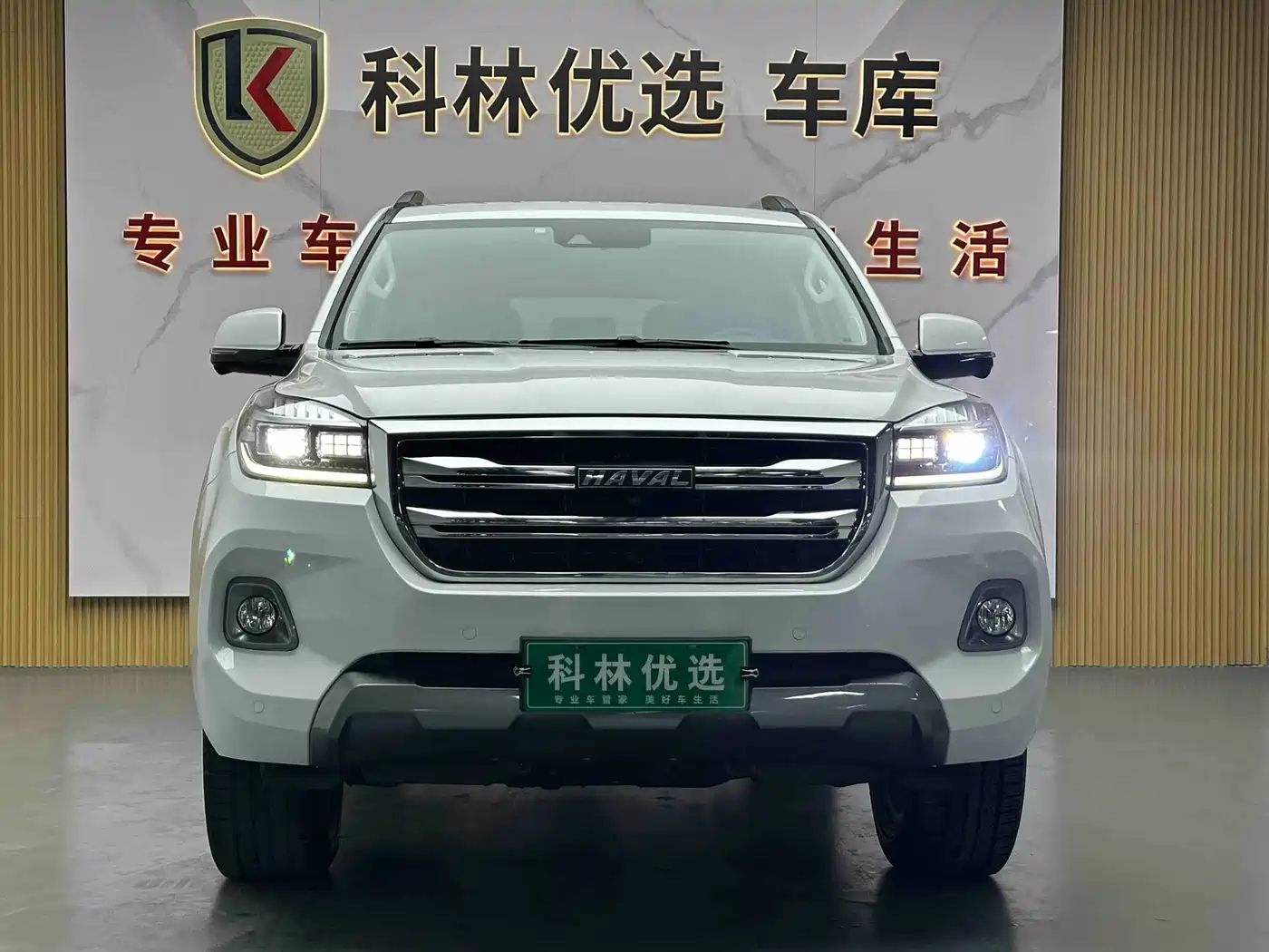 Haval H9 2020 2.0T Gasoline 4WD Premium 5-Seater фото 2