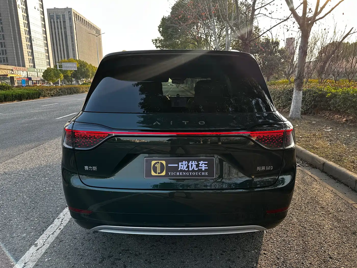 AITO Wenjie AITO M9 2025 Extended Range Ultra 52kWh 6-Seater фото 3