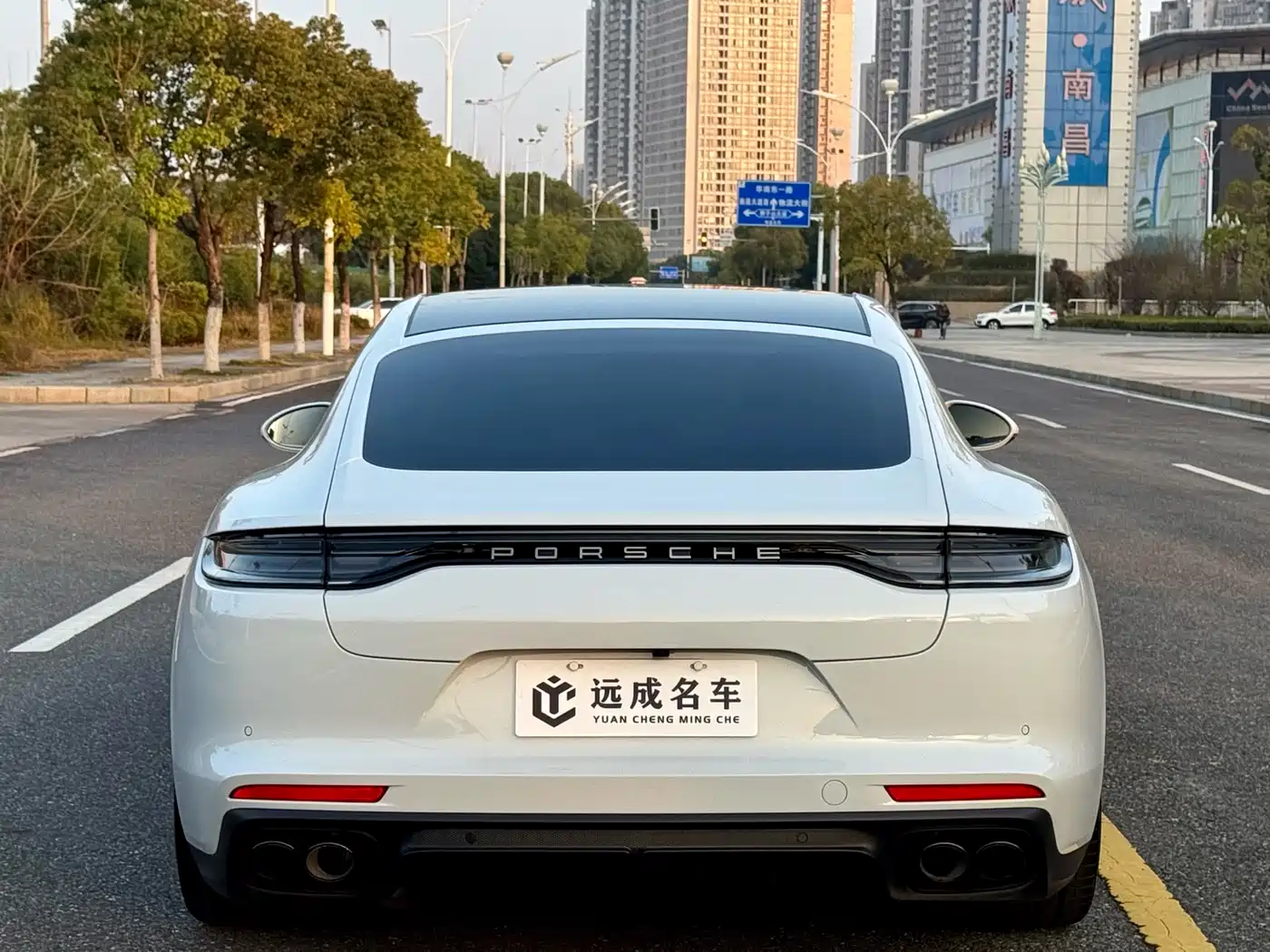 Porsche Panamera 2023 Panamera 2.9T Platinum Edition фото 6