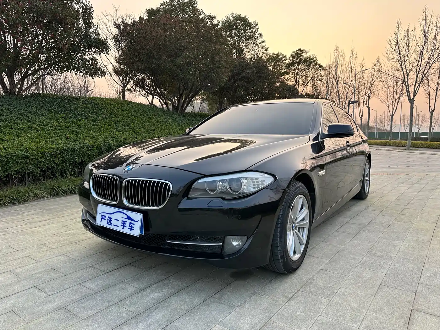 BMW 5 Series 2012 523Li Leadership