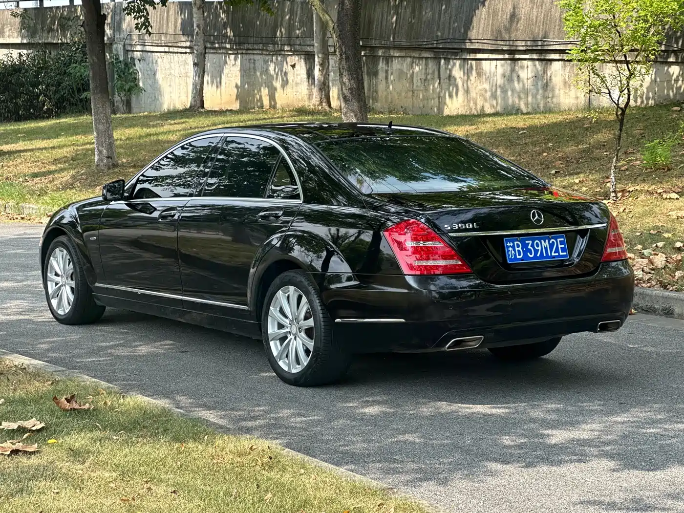 Mercedes-Benz S-Class 2012 S 300 L Luxury Grand Edition фото 4
