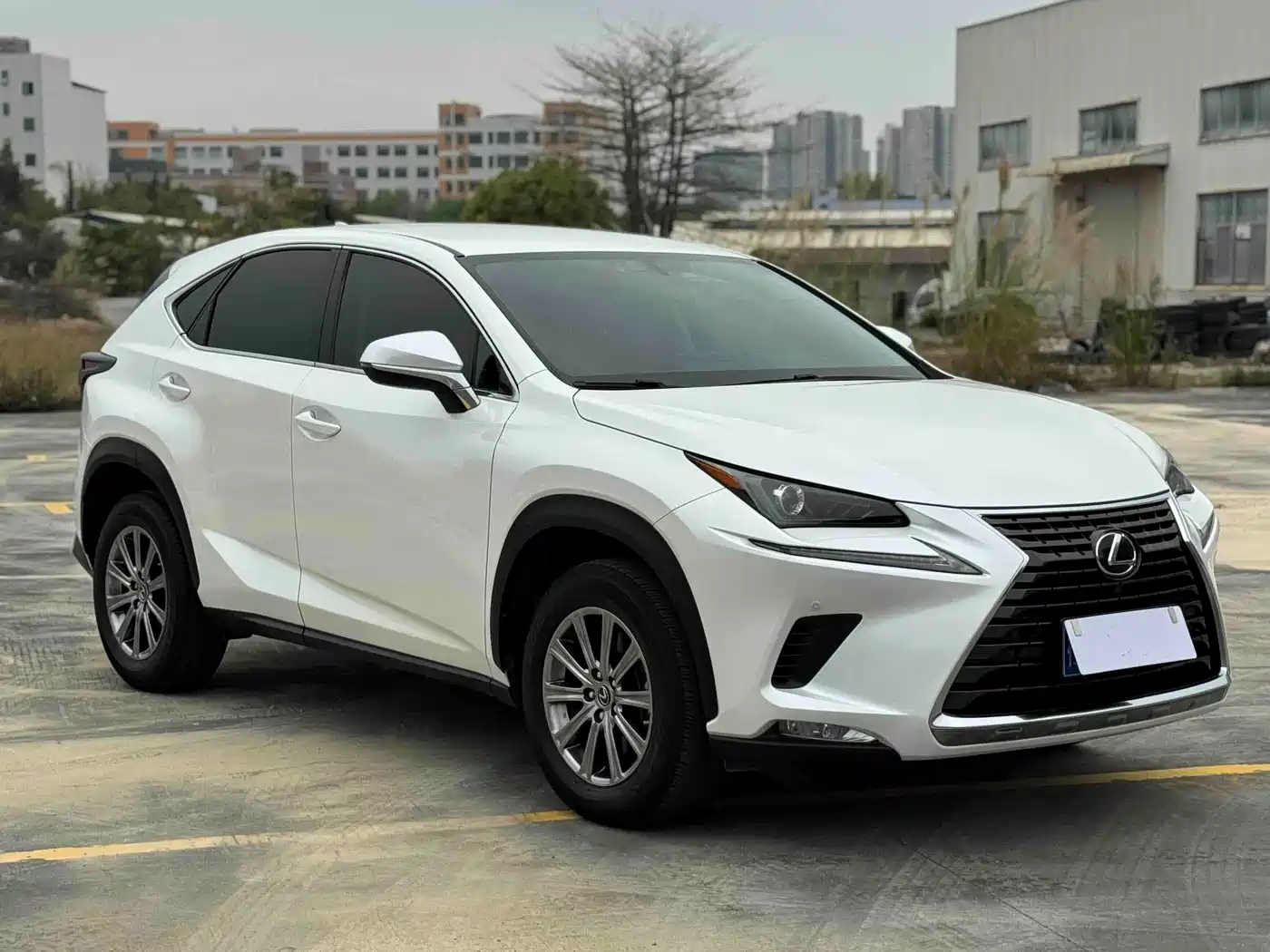 Lexus NX 2020 200 FWD Fengyi Edition China VI