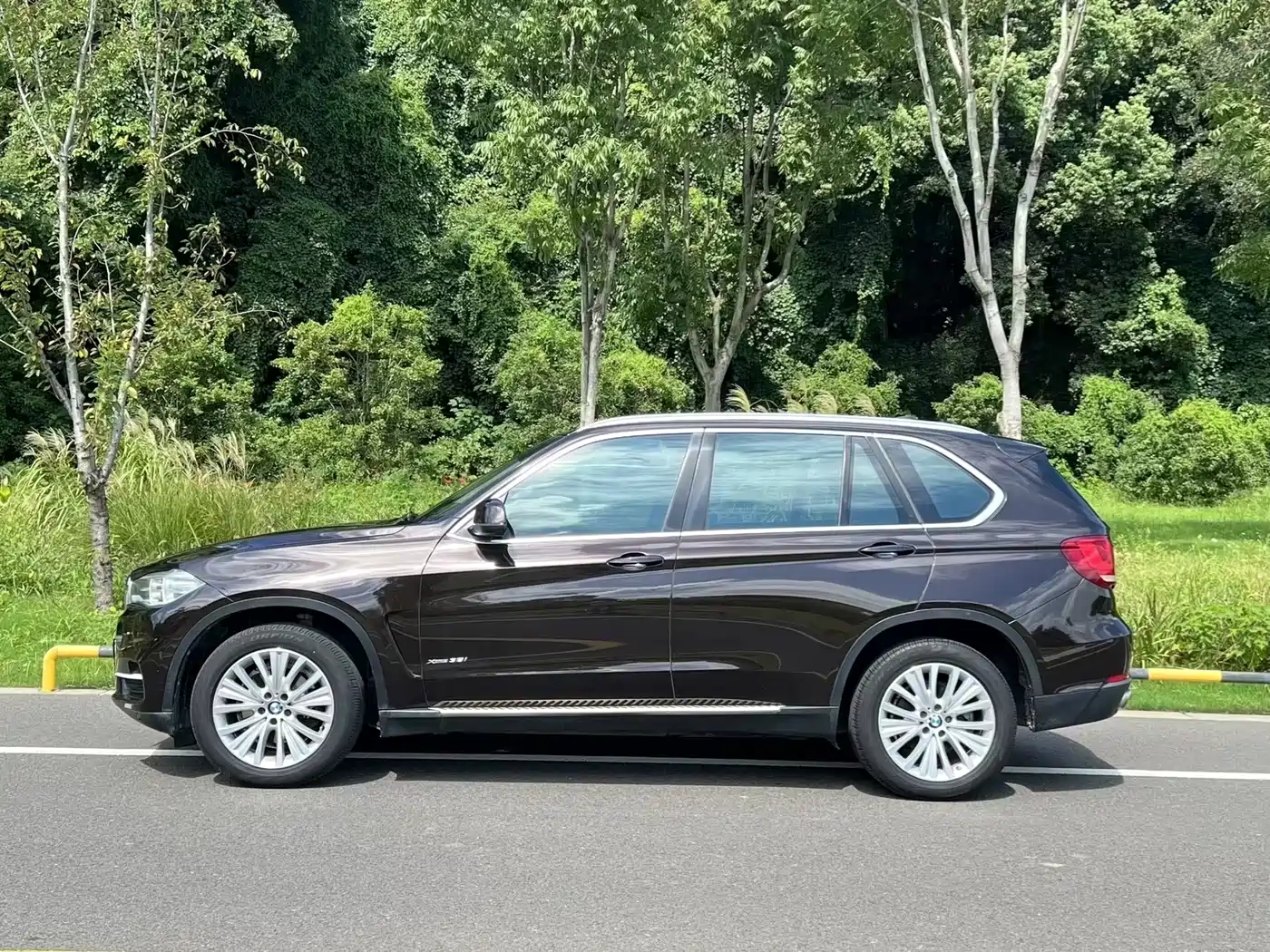 BMW X5 (Import) 2014 xDrive35i Luxury фото 8