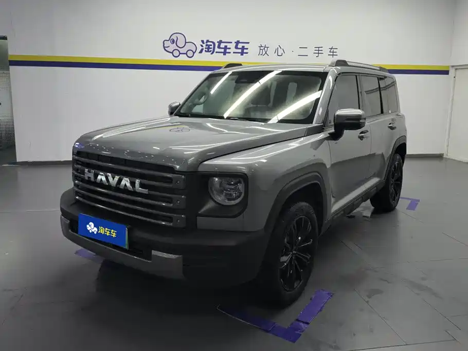 Haval Meng Long NEV