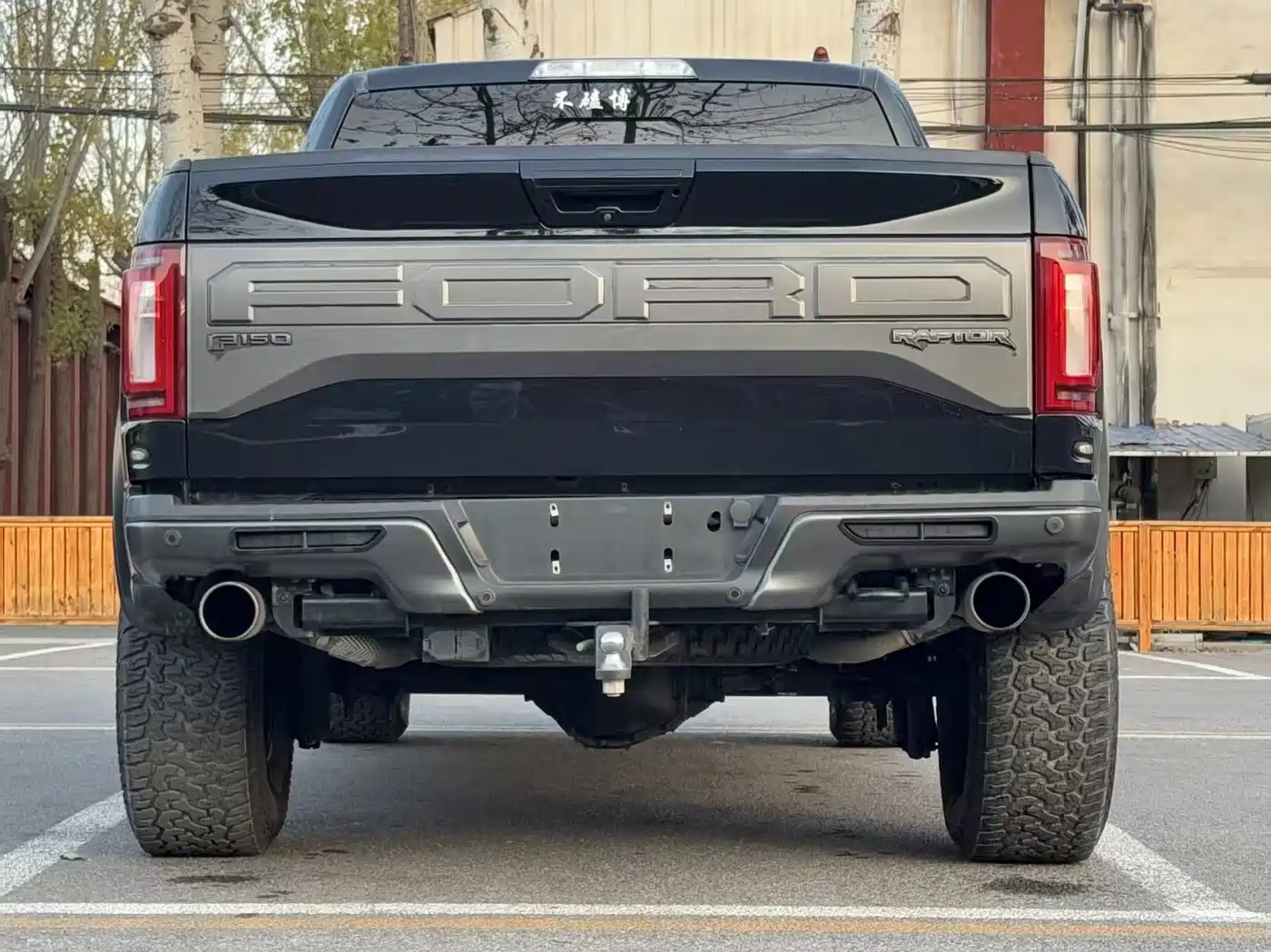 Ford F-150 Raptor 2017 2017 3.5T Raptor Performance Edition