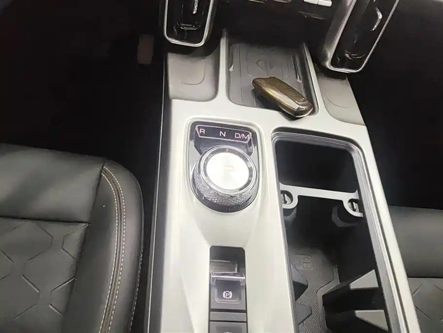 Haval Big Dog 2024 1.5T DCT Border Collie Edition фото 16