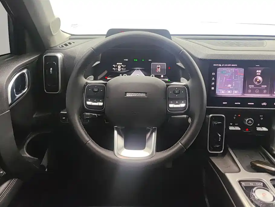 Haval Big Dog 2024 1.5T DCT Border Collie Edition фото 15